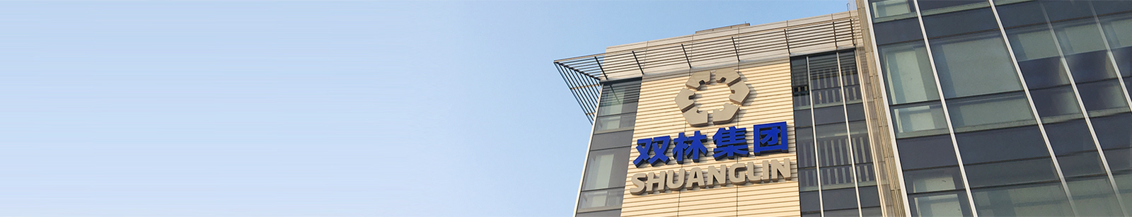 資質(zhì)榮譽(yù)